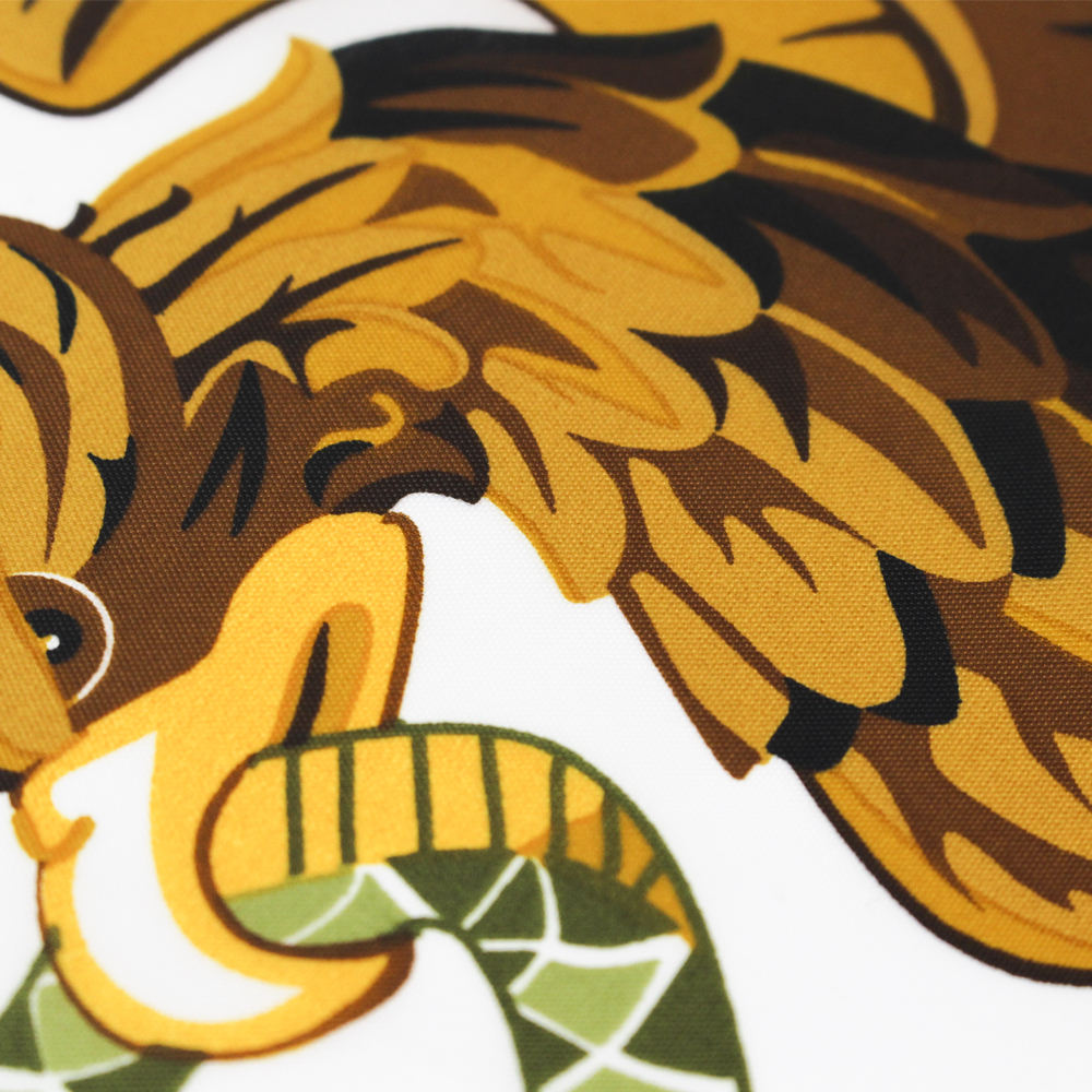 Mexico Country Flag – Polyester Silk Double-Sided Printing 90 x 150 cm